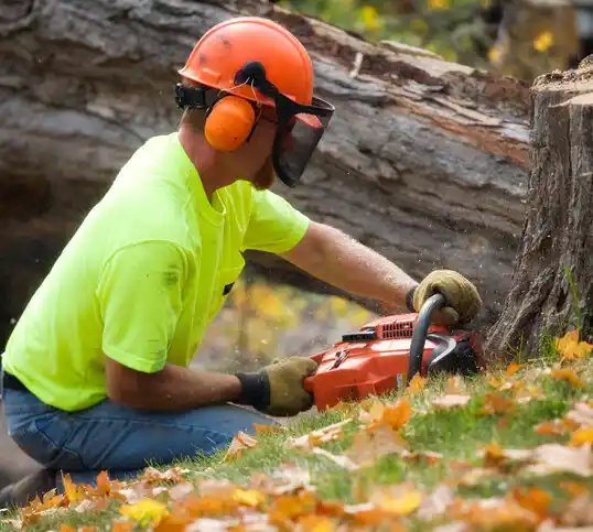 tree services Verdi